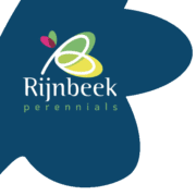 (c) Rijnbeek.com