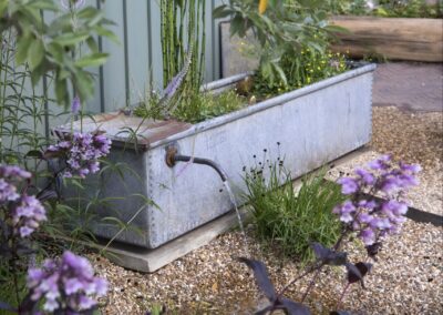 RHS Hampton Court Peat Free garden