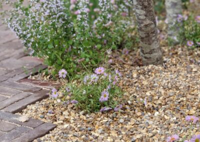RHS Hampton Court
